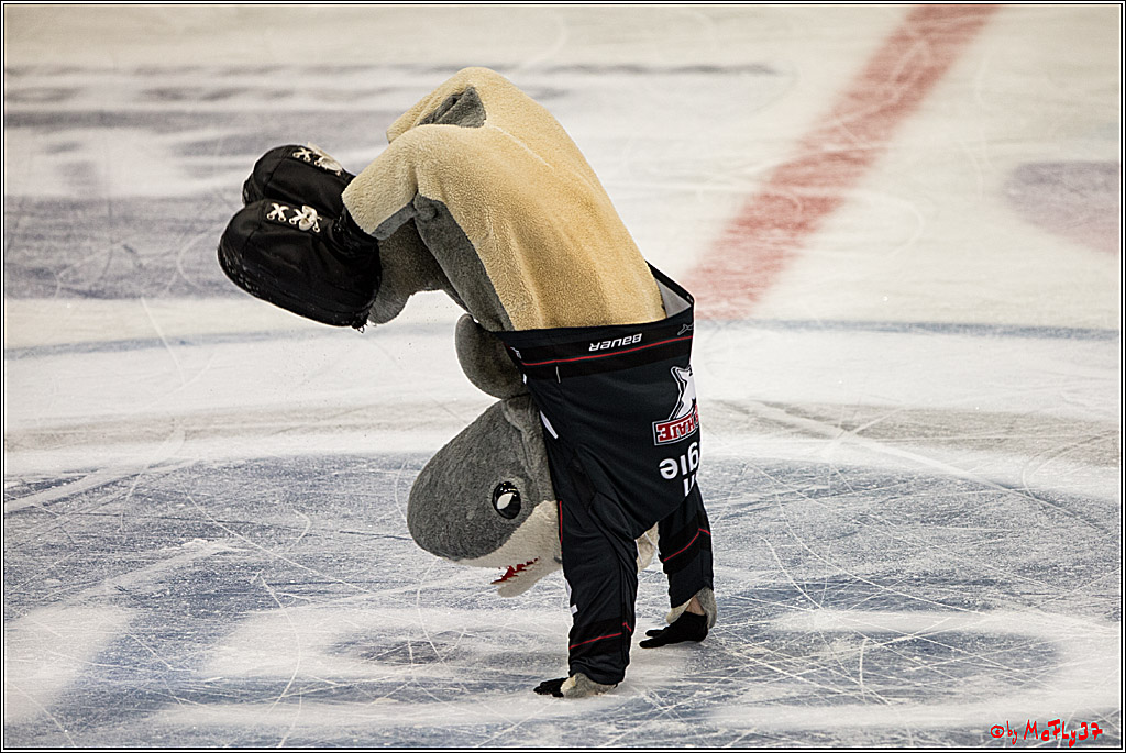 Koelner Haie - Duesseldorfer EG, 18.12.2016